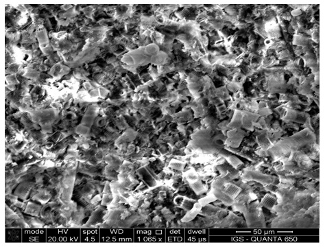Nghiên cứu công nghệ tuyển nhằm thu hồi tảo Diatome trong quặng Diatomit Phú Yên